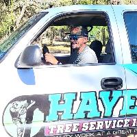 Hayes Tree Service Inc image 1