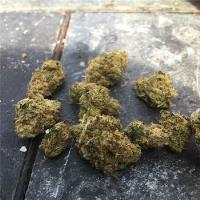 DC Cannabis Bud image 4