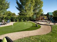 Artificial Turf Pros Raleigh image 2