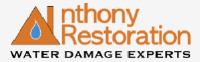 Anthony Restoration of Tysons image 1