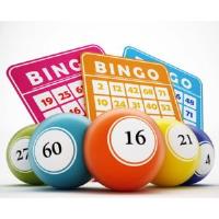 The Bingo Guide image 1