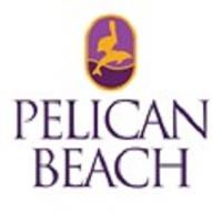 Pelican Beach Resort Condos image 2