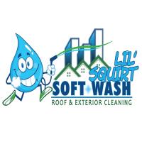 Lil Squirt Soft Wash image 1