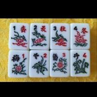 The Mahjong Guide image 1