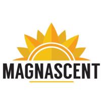 Magnascent image 1