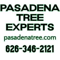 Pasadena Tree Experts image 5