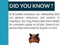Armadillo Insulation image 4