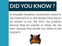 Armadillo Insulation image 2