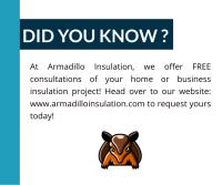 Armadillo Insulation image 1