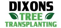 Palm Tree Movers | Dixons Tree Transplanting image 2