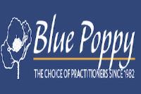 Blue Poppy image 5