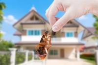 Healthy Home Pest Control Inc image 5