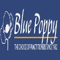 Blue Poppy image 6