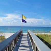 Navarre Beach Golf Cart Rentals image 2