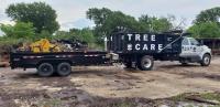 Professional San Antonio Tree Removal image 4