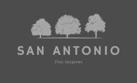 Professional San Antonio Tree Removal image 6