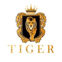 Tiger Stone image 1