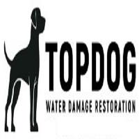 TopDog Water Damage Restoration of Davie image 1