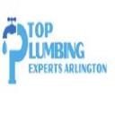 Top Plumbing Experts Arlington logo