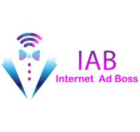 Internet Ad Boss image 1