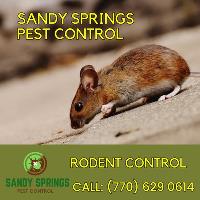 Sandy Springs Pest Control image 4