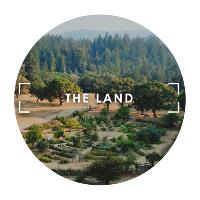 The Land image 1