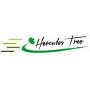 Massillon tree service logo