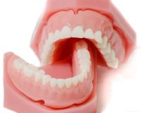 Hillsborough Prime Dental image 5