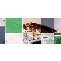 Impact Pest Management image 3