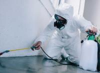 All-Pro Pest Control Seattle image 2