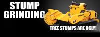 Scott's Stump Grinding and Tree Service image 6