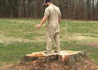 Scott's Stump Grinding and Tree Service image 2