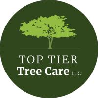 Top Tier Tree Care LLC image 5