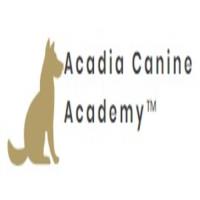 Acadia Canine Academy image 1