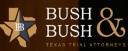 Bush & Bush Law Group logo