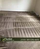 Sunbird Carpet Cleaning of Oxon Hill image 1