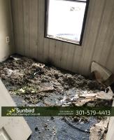 Sunbird Carpet Cleaning of Oxon Hill image 2