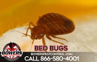 Bowers Pest Control image 7