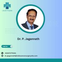 Dr. P. Jagannath  Email Address image 1