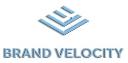 Brand Velocity logo