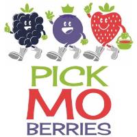 Missouri Berries image 1
