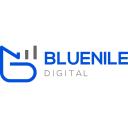 Blue Nile Digital logo