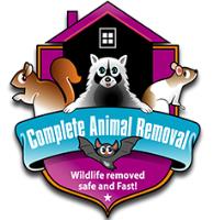 Complete Animal Removal image 7