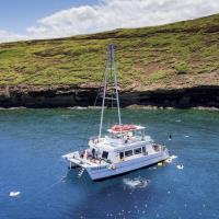 Four Winds Molokini Maui Snorkel Tour image 9