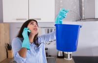 Sea Island Mold Removal Experts image 1