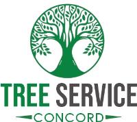 Tree Service Concord image 1