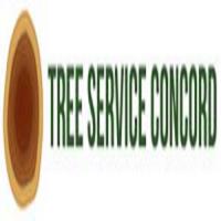 Tree Service Concord image 1