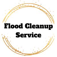 Flood Cleanup Service image 1