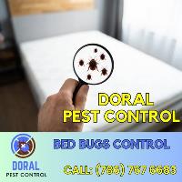 Doral Pest Control image 1