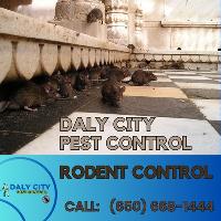 Daly City Pest Control image 3